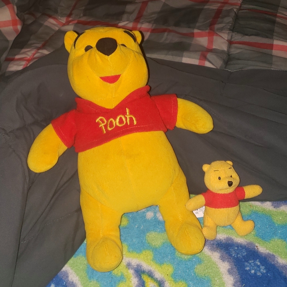 Winnie the Pooh Bear plush dolls